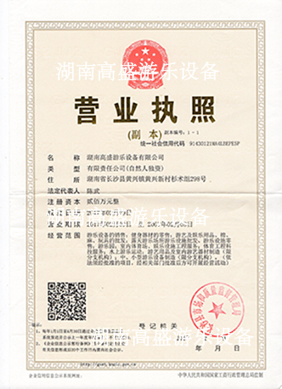 湖南菲律宾亚星游乐有限公司营业执照